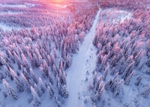 landscape-photo-graphy:Gorgeous &amp; Ethereal Aerial Photographs of a Snowy Forest in Finland b