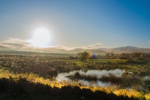 oneshotolive:  Ballysmuttan, Wicklow, Ireland [OC] [2696x1800] 📷: bmxdudebmx 