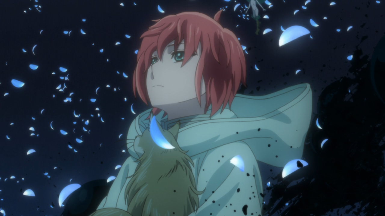 Characters appearing in The Ancient Magus' Bride Anime