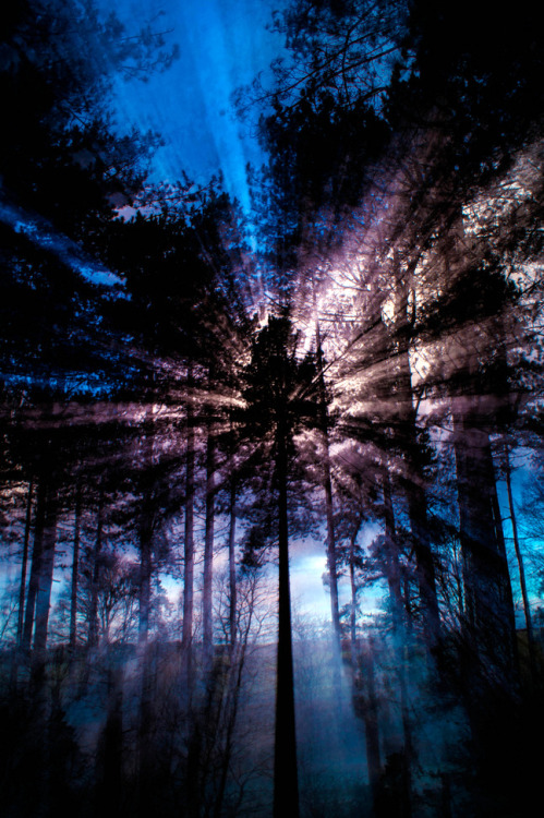 l0stship:  Center Parc by Mike Mudd
