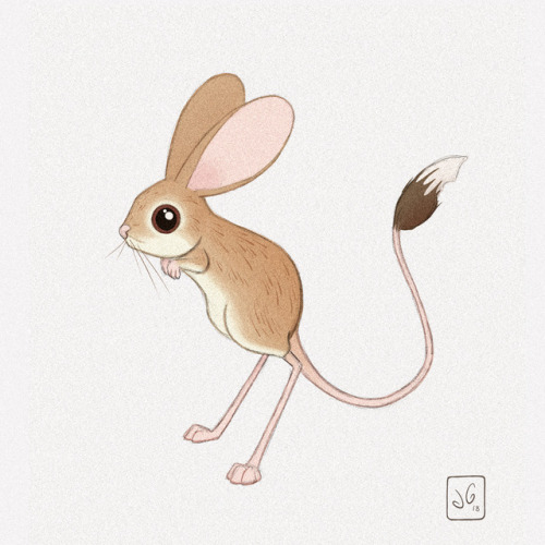 Taking a break from chickens and giraffes to make this little jerboa.Ask - Links
