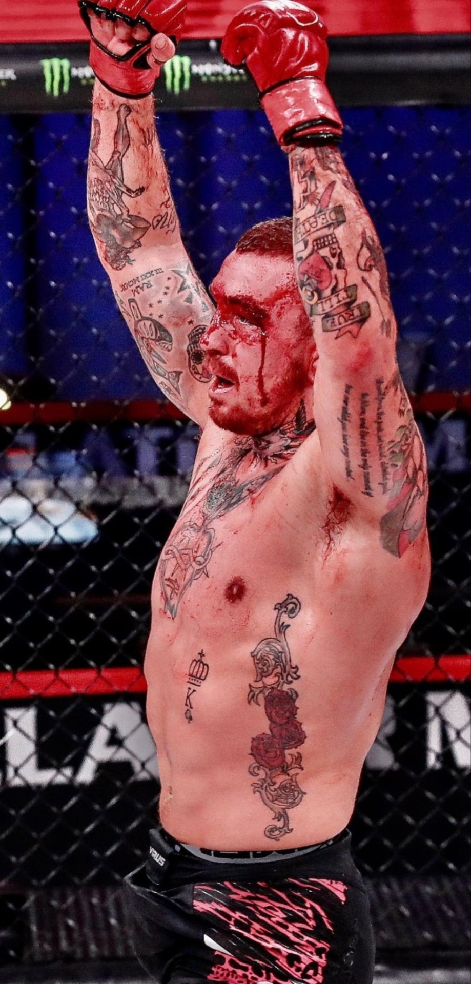 Bloody Fighter Austin Vanderford