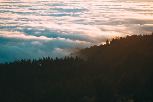 richhomiehua: Sunsets at Mt. Tamalpais instagram: richhomiehua  Gear: Leica M240 35mm