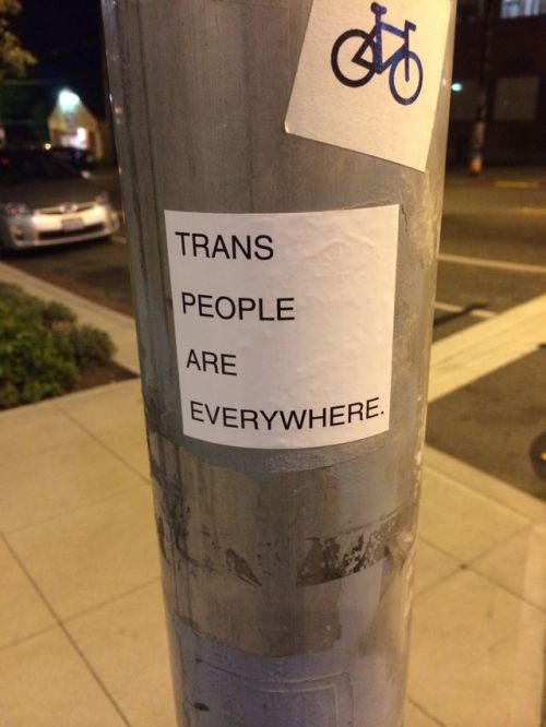 queergraffiti:drunkmountaingoat:In Seattle“TRANS PEOPLE ARE EVERYWHERE.” - Seattle, Wash