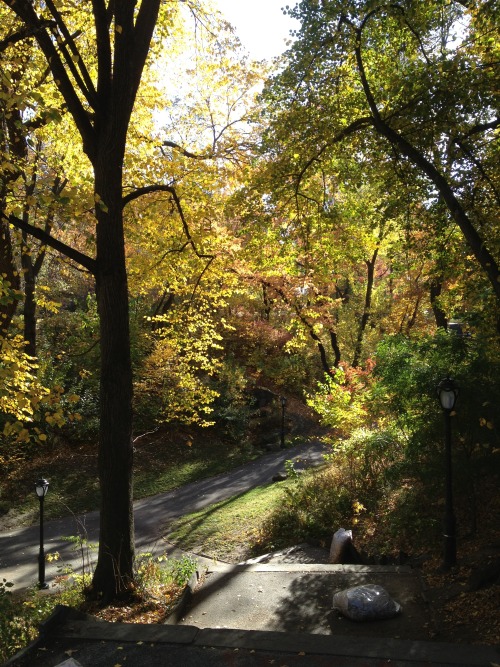imakegoodlifechoices: Autumn in Central Park