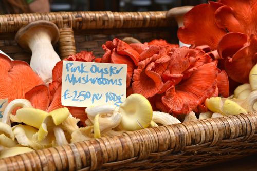 Mushrooms of Borough Market