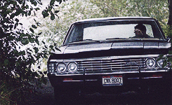 viserione:30 days of Supernatural → Day 11: Favorite ship↳ Dean and ImpalaListen to her purr, have y