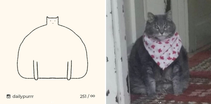catsbeaversandducks:  By dailypurrr