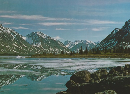 retrospectia:From One Man’s Wilderness: An Alaskan Odyssey, 1973