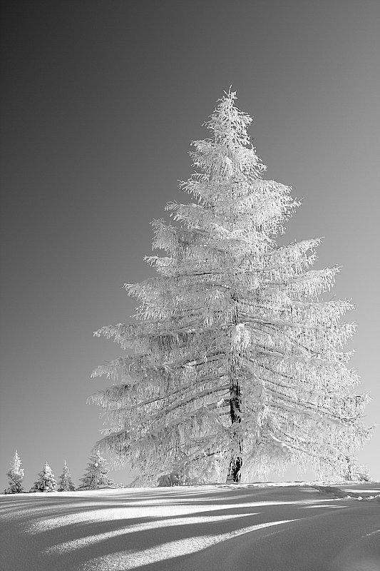Catalisst: