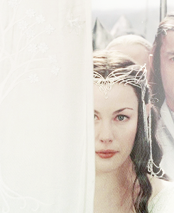  lotr meme: three races [3/3] » elves They were valiant, but the history of those