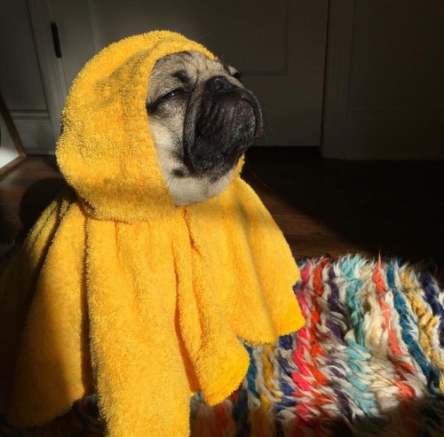 When you get out of the shower and feel cleansed