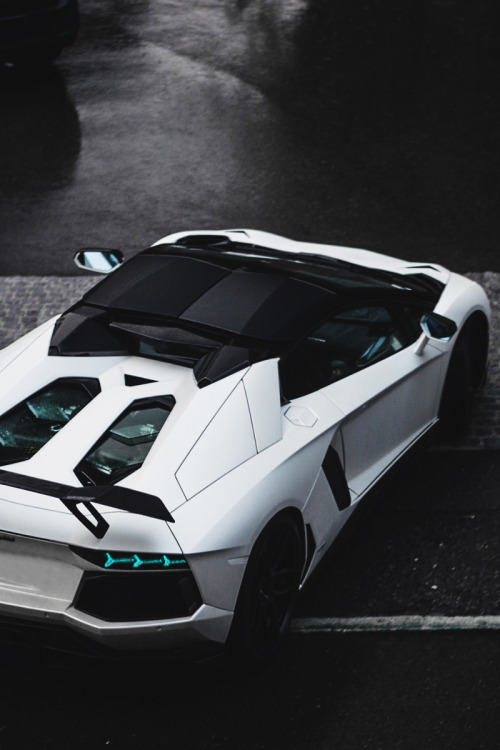 envyavenue:  Novitec Torado Roadster adult photos