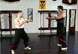 feiyueshoesusa:  Wing Chun Can deal with