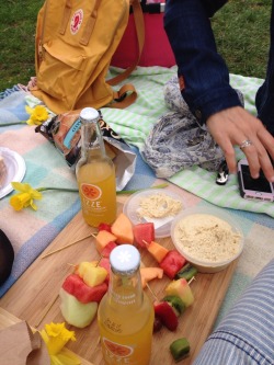 lovelysucculent:  lovely picnic with my favorite aesthetes ⛅️😊🐝💐🐥☕️ fawhnsies exuberantdisposition 