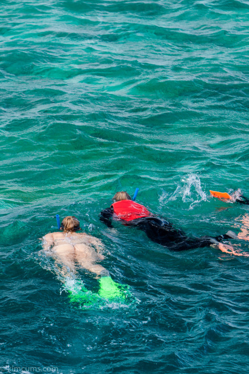 Some final snorkelling pictures before I came out of the water.