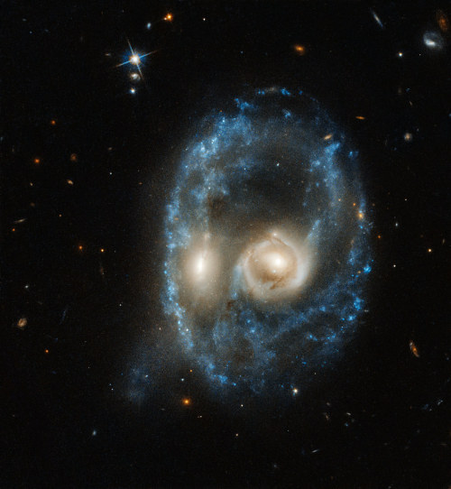 space-pics:  Hubble captures cosmic face
