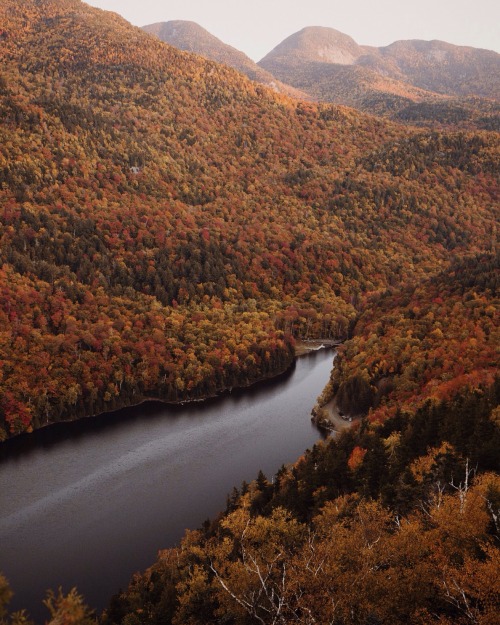 theghostgirls:  The hunt for red (and orange) October.