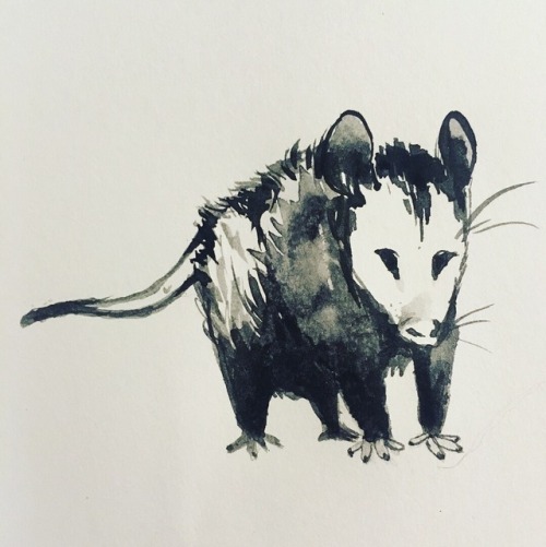 opossummypossum: underbirdart: More Inktober drawings! Really enjoying the copper ink and brush late