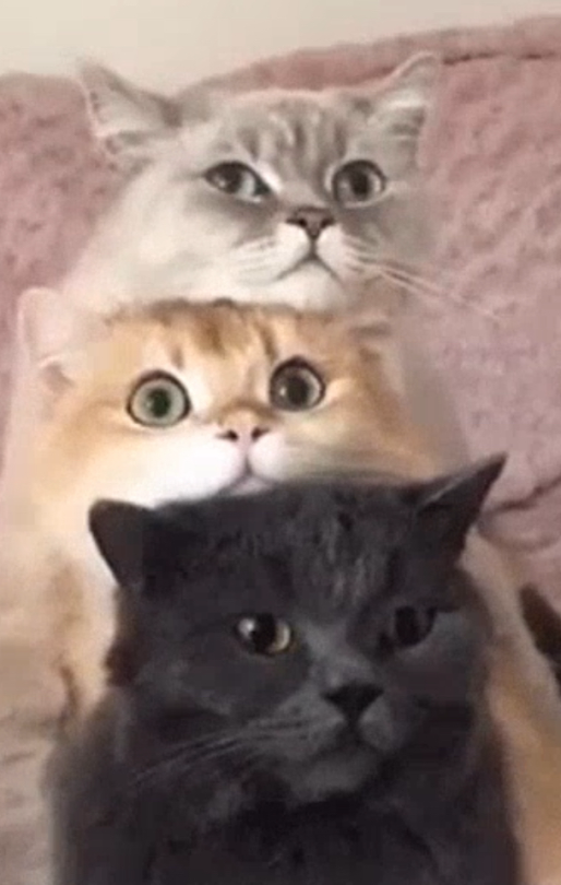 When 3 Have Power
