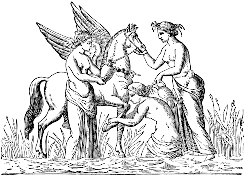dwellerinthelibrary: Pegasus attended to by nymphs, from an 1897 edition of Bulfinch’s Mytholo