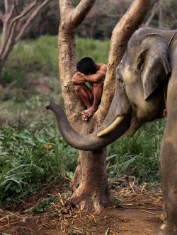 malesinphotos:  ph. Steve McCurry 