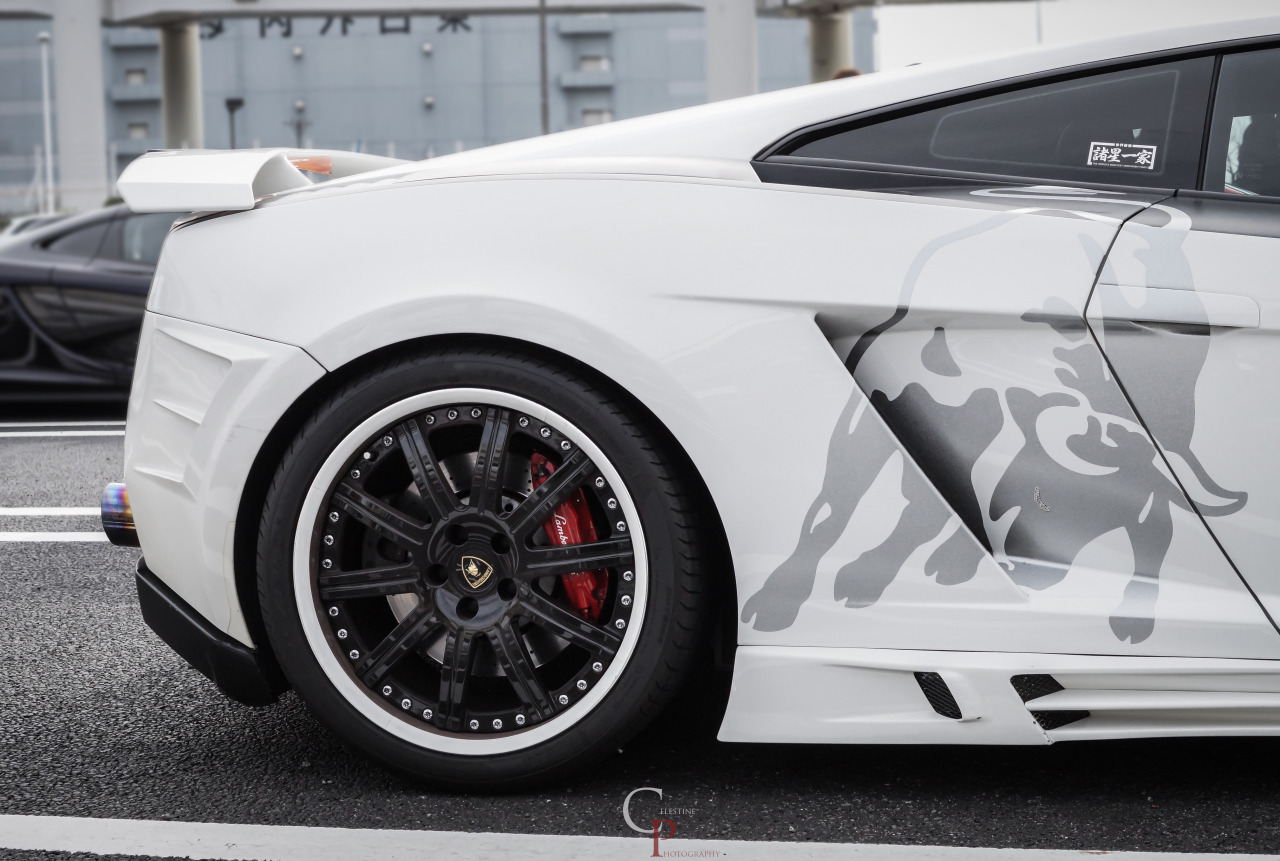 celestinephotography:  213 Motoring’s ランボルギーニムルシエラゴ @
