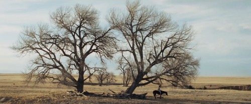 The Homesman  [ 2014 ]Dir:  Tommy Lee JonesDoP:  Rodrigo PrietoFULL POST (60x - 1080p screencaps)