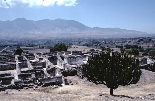 Ruinas y Candalaria, Yagul, estado de Oaxaca, 1982.