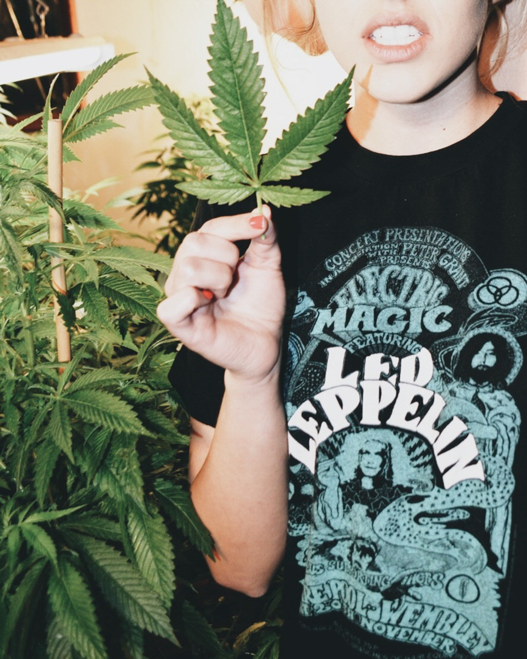 smkbrk:😋 toke and smoke 🌴