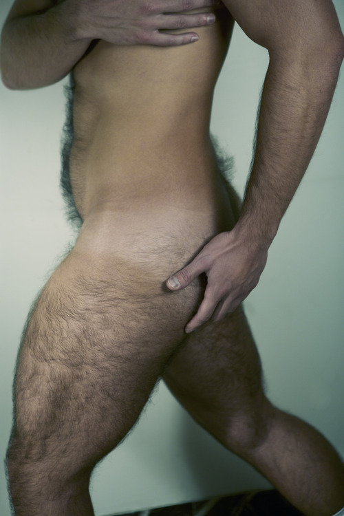 dilf-fan:LOVE A FURRY MAN  love it