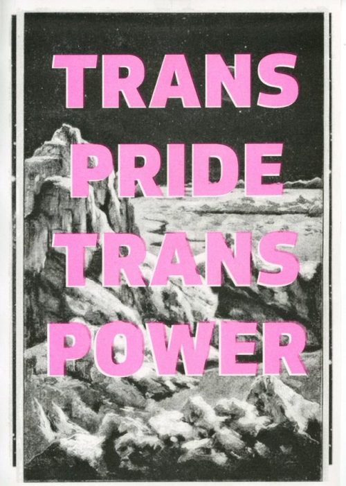 Trans Pride Trans Power  - Fatty Acid poster series, 2 colour risograph print(available to buy 