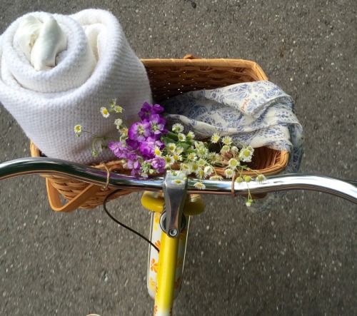 buzzflower:  My bike and I are bffs