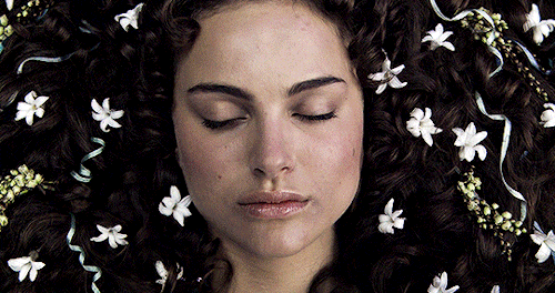 spellman:Flowers in Film — ( 2 / ∞ ) A Little Princess, Blue Velvet, Marie Antoinette, The Phantom o