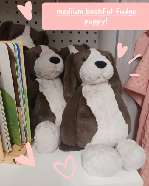 My First Jellycat Hunt/search!!