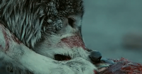 Deathowler's howls