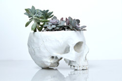 sosuperawesome: Skull Planters by Happy Planters on Etsy  See more planters  So Super Awesome is also on Facebook, Pinterest and Instagram 