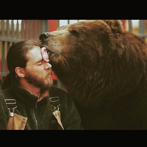 l-u-m-b-e-r-s-e-x-u-a-l:  Bear Love 
