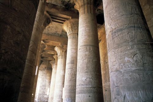 Columns in the Hypostyle Hall, Temple of Horus at Edfu