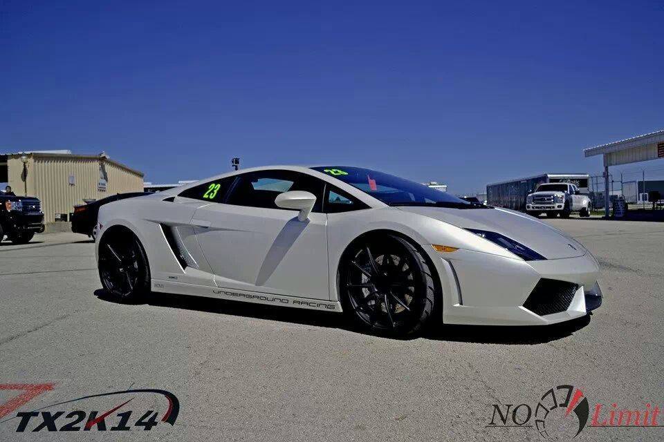 flicktitty:  Lamborghini Gallardo Appreciation post.
