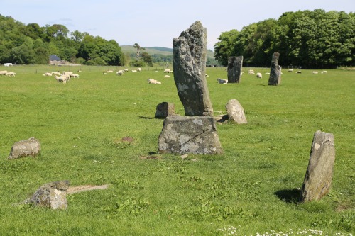 Nether Largie Standing Stones, Kilmartin Glen, Argyll, 3.6.16. Three sets of standing stones, comple