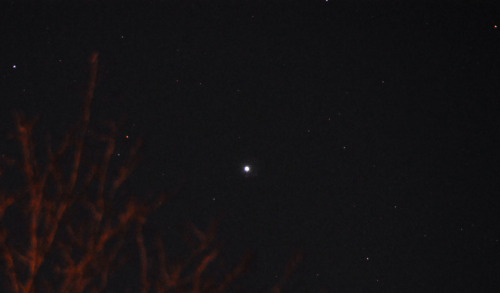 DSC_4419 (3) Sirius - Brightest Star in the Night Sky.