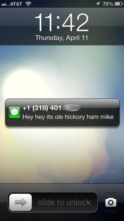 chesnaaught: who is ole hickory ham mike and why is he texting me