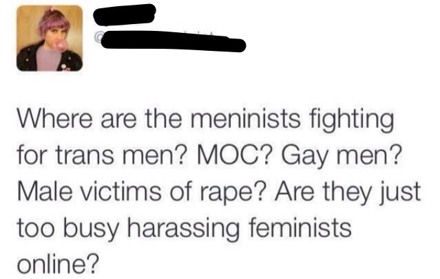 thatantifeministpug:  If you truly believe that meninist is an actual movement then