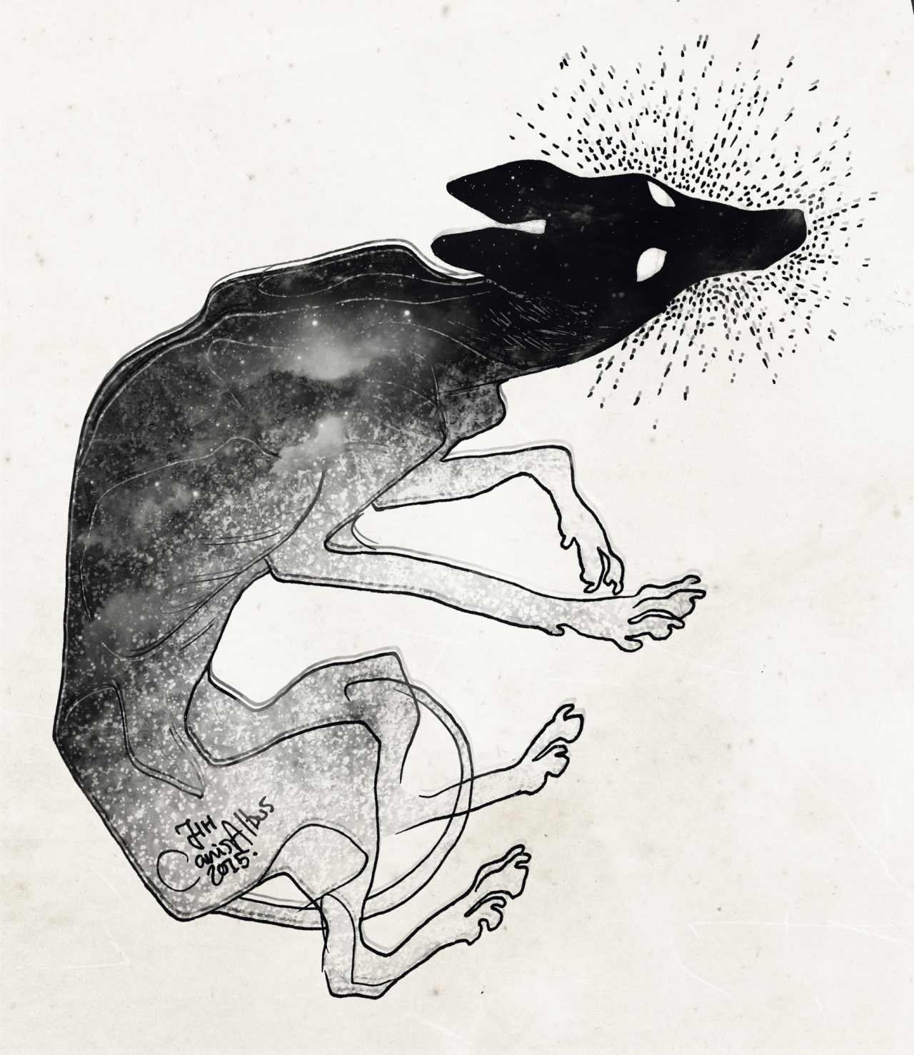 canisalbus:  Manifestations  