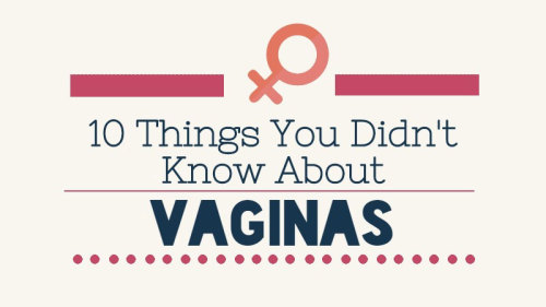 insidiousmuse:  susubeann:  Interesting  The magical Vagina! 