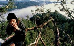 ojala-que:  lonelynomads:  eulen:  Julia Butterfly Hill lived in a 180-foot (55 m)-tall, roughly 1500-year-old California Redwood tree  for 738 days between December 10, 1997 and December 18, 1999. Hill lived in the tree, affectionately known as