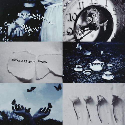 aesthetics-personalities: “We’re all mad here.” ~ Alice in Wonderland Message to request an aestheti