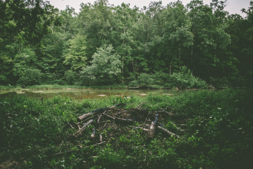 ervnelze:  “Get Lost” Part. 1B - Chewacla State Park//CrossingBLOG | FLICKR | INSTAGRAM | MUSIC