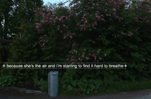 tristeusine:  oh but darling i don’t care if my head is pounding, all i want is you                                                                             (n.p)